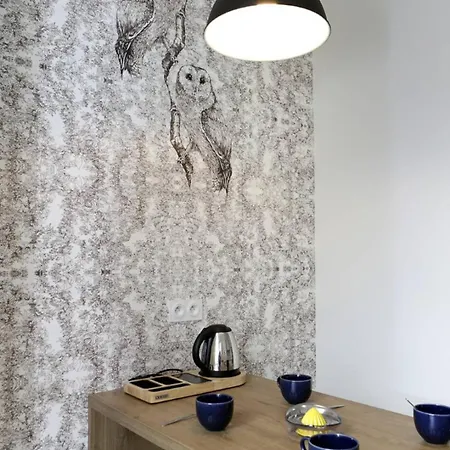 La Chouette 아파트 디종